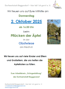 Apfelernte in der Streuobstwiese